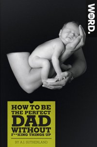 Germinal Press - Latest Release - How To Be The Perfect Dad
